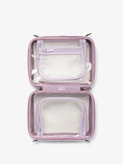 Medium Clear Cosmetics Case